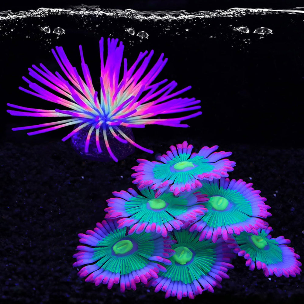 HIKTQIW glowing-anemone-pink adds vibrant glow to your aquarium decor.