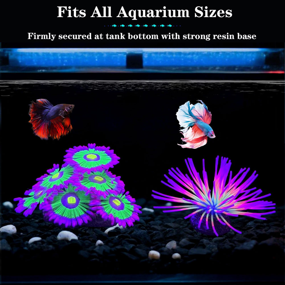 HIKTQIW glowing-sea-urchin-ball-pink brightens tanks and enhances visual interest.