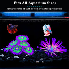 HIKTQIW glowing-sea-urchin-ball-pink brightens tanks and enhances visual interest.