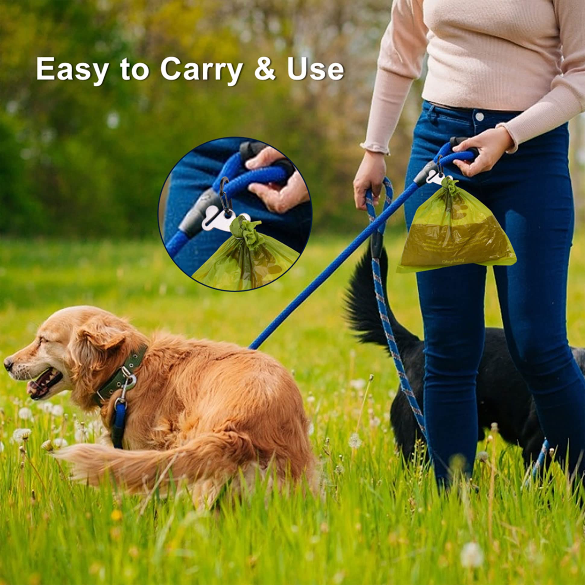 Hilihali leash clip fastener blue demonstrates versatile attachment to leash, belt, or backpack.