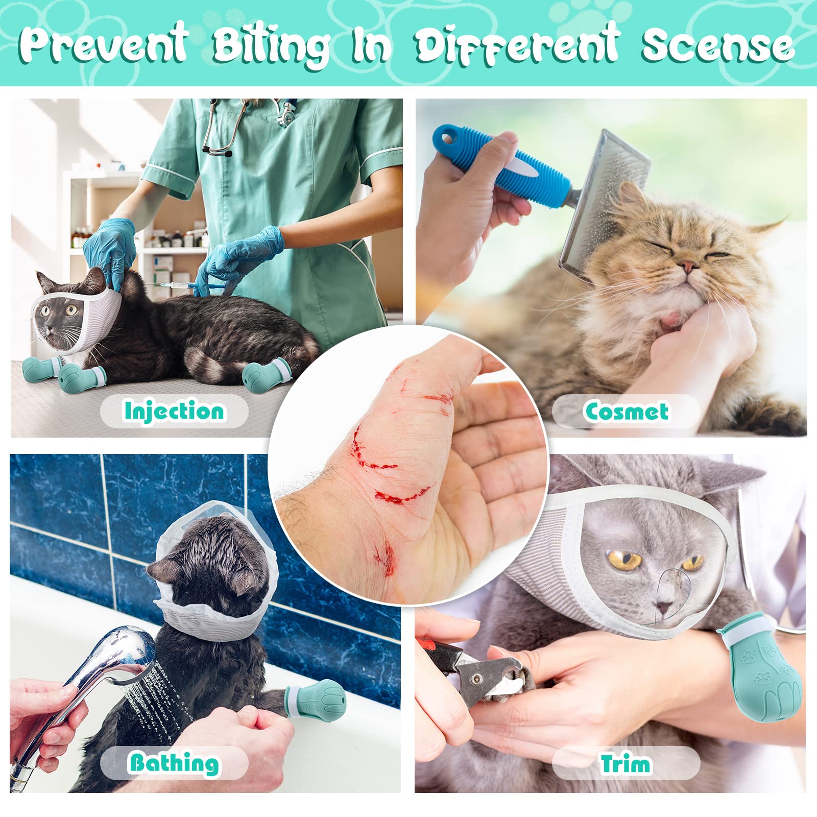 Hillban cat grooming setup supports safe bathing and trimming routines.