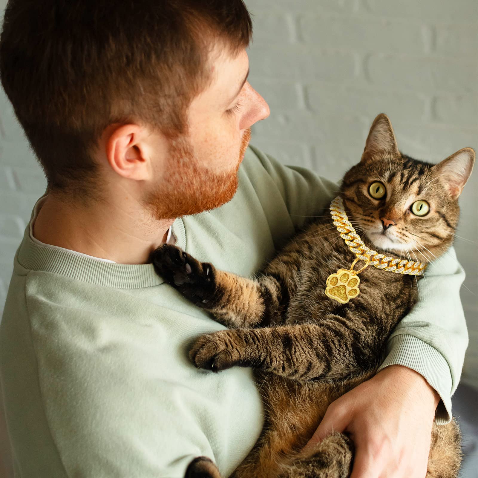 Hillban tag with bell closeup shows identification and playful alert sound