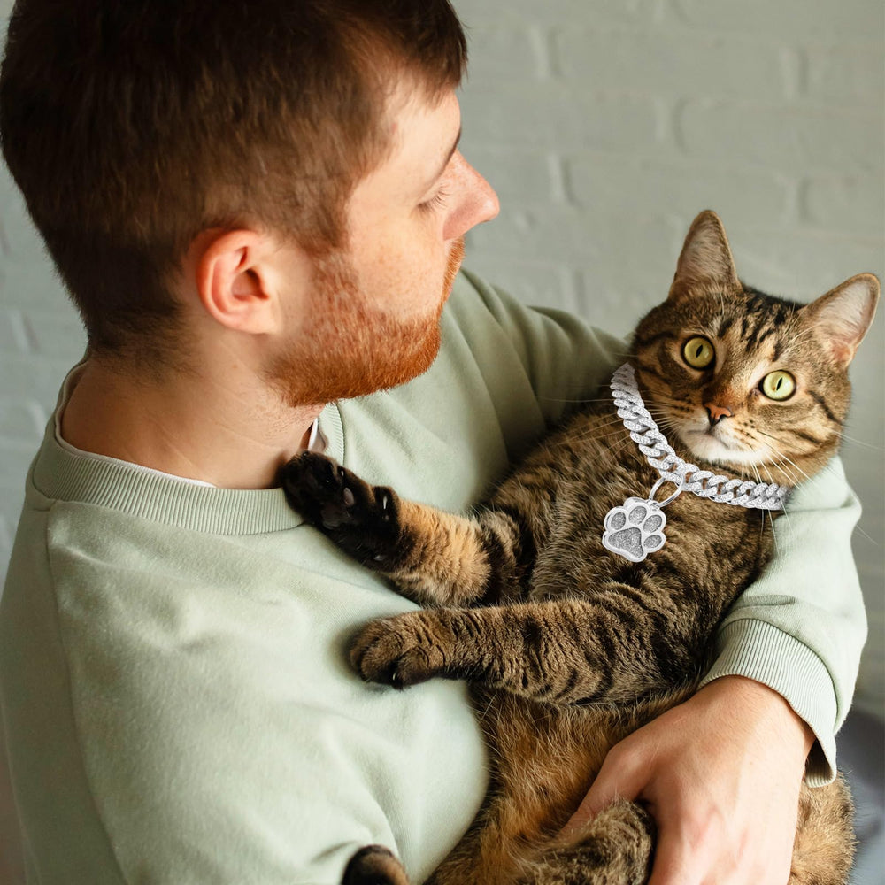Hillban silver link-style collar delivers elegant style for daily wear.