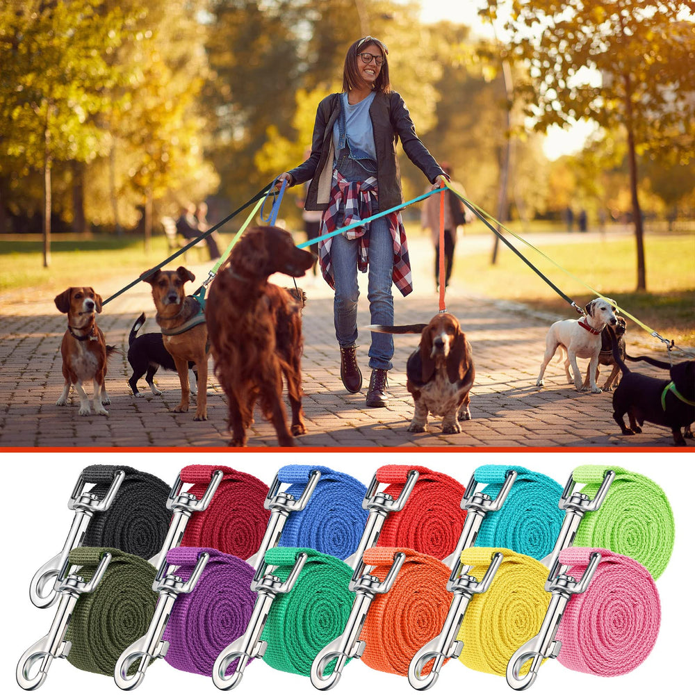 Hillban outdoor 5ft leash supports training and playful outdoor sessions