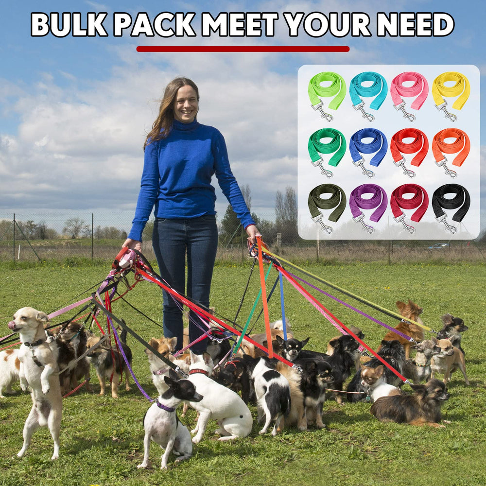 Hillban leash ideal for grooming salons, clinics, and shelters