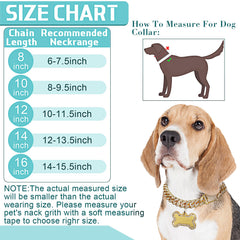 Hillban puppy tag rhinestones—adds sparkle and clear ID for pets.