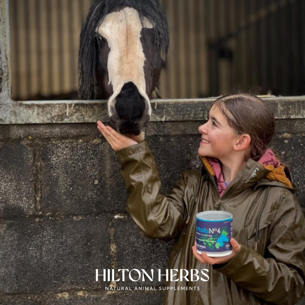 Hilton Herbs Herballs 1.1 lb bag showcases value and shareable treats.