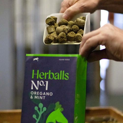 Hilton Herbs Herballs horse snack time moments with oregano mint aroma.