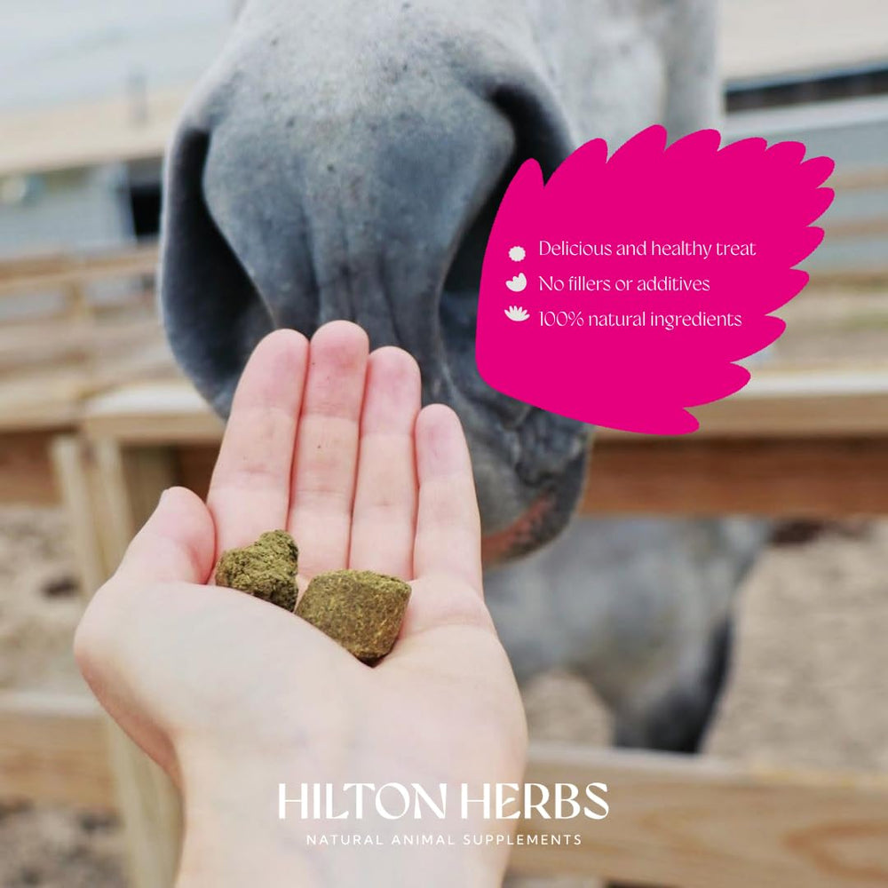 Hilton Herbs Herballs natural ingredients—100% natural horse treat without additives.