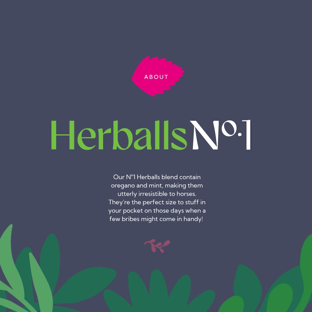 Hilton Herbs Herballs natural ingredients illustration emphasizes wholesome horse treats.