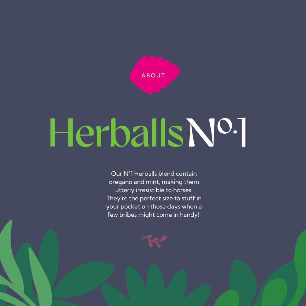 Hilton Herbs Herballs training reward—oregano and mint aroma motivates without pressure.