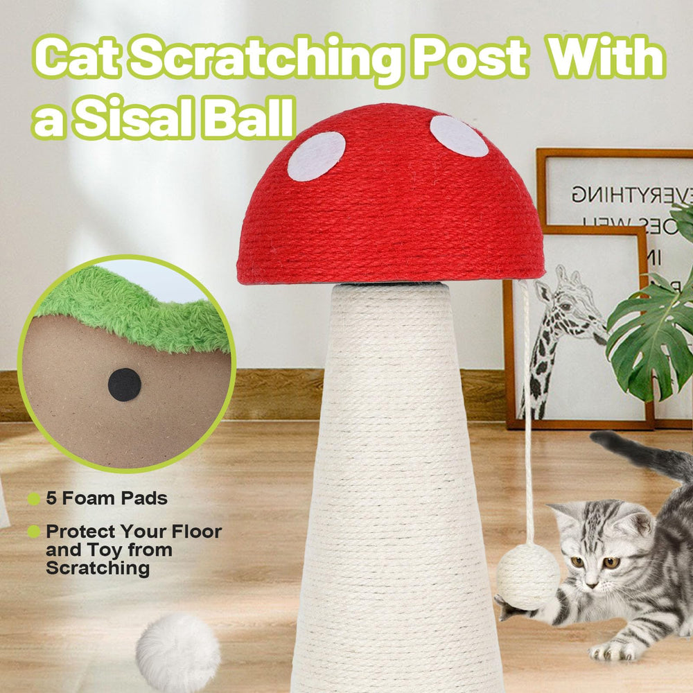 Himake interactive ball toys boost chase instincts and exercise.