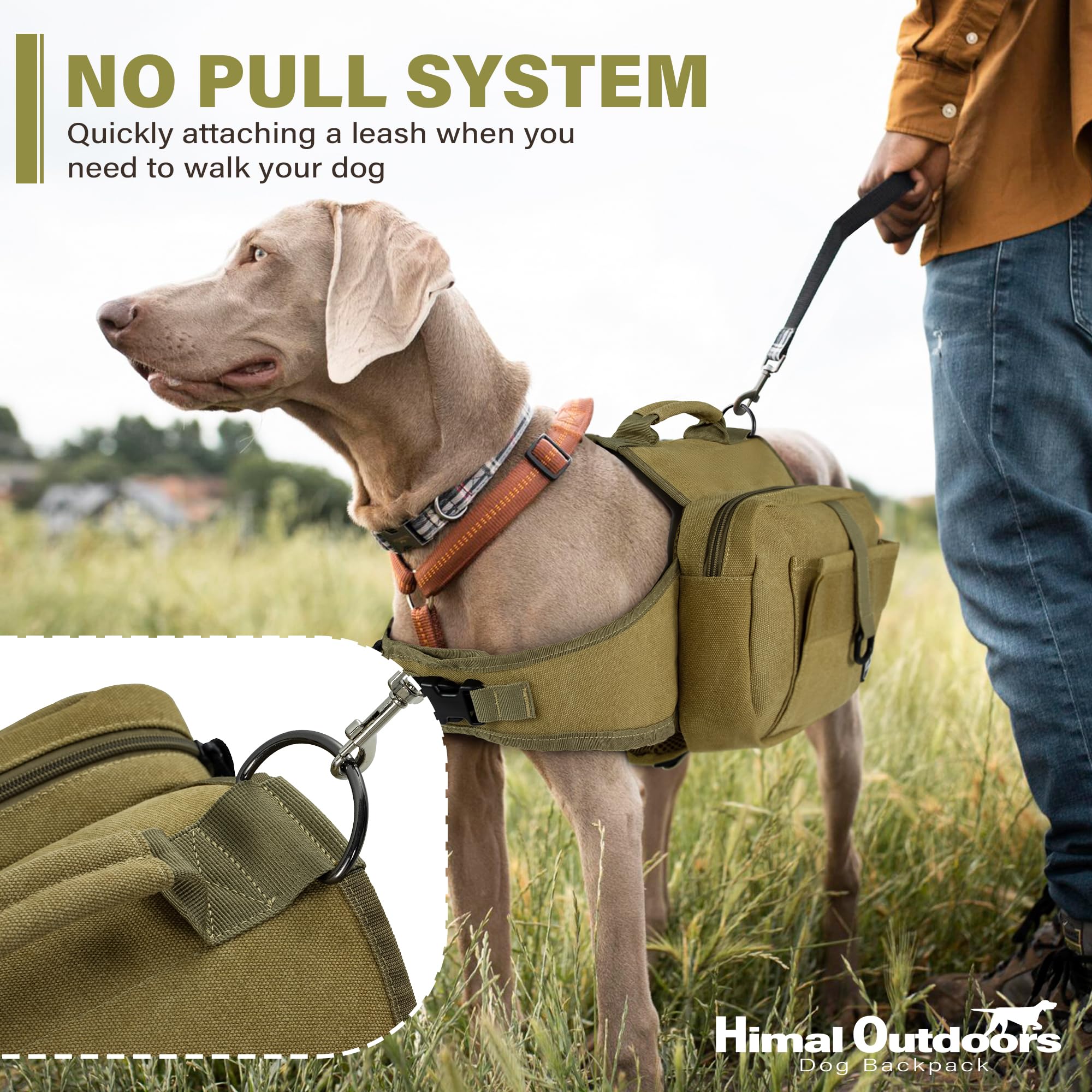 Himal Outdoors dog backpack adjustable straps ensure a snug fit across breeds.