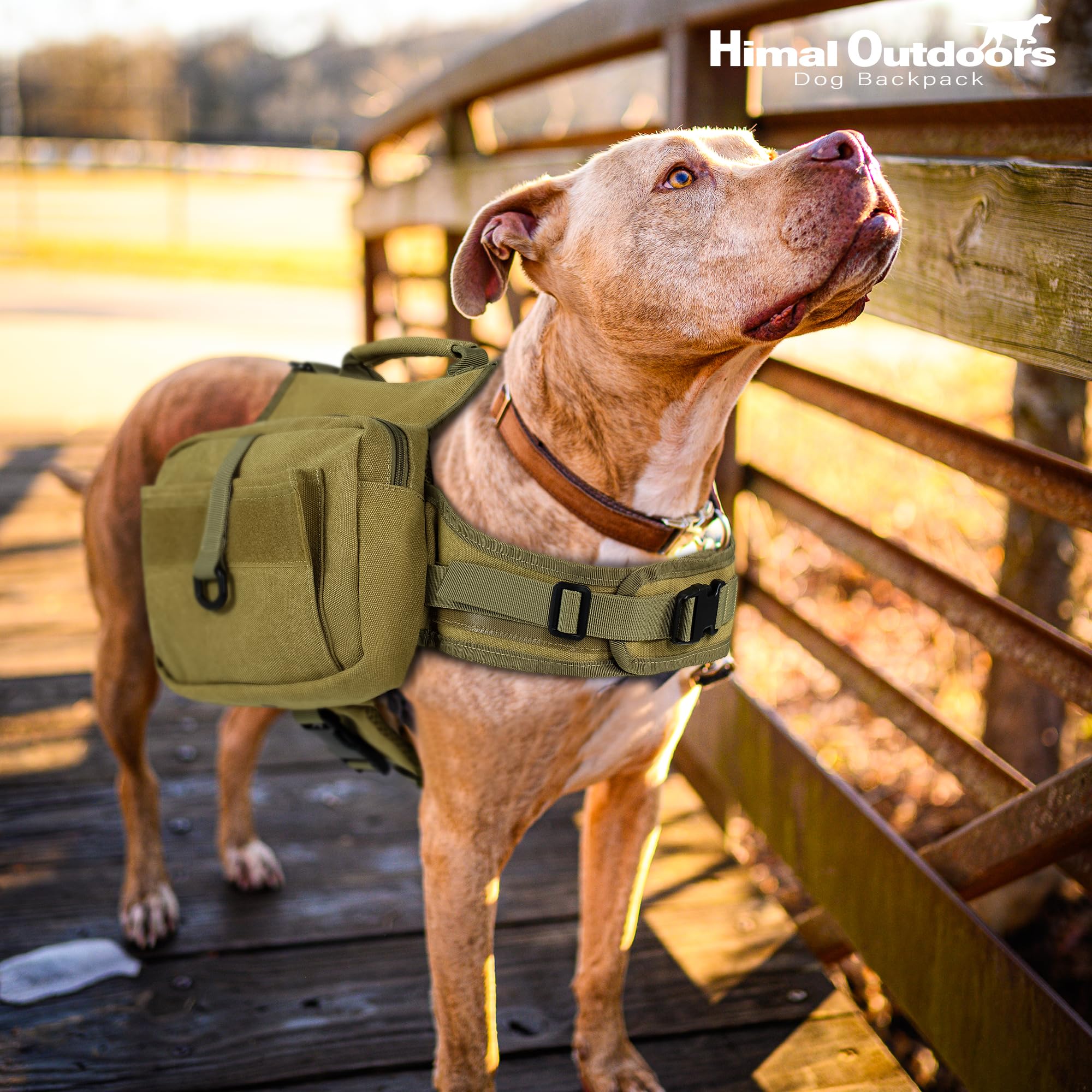 Himal Outdoors dog backpack fits neck and chest ranges for large dogs.