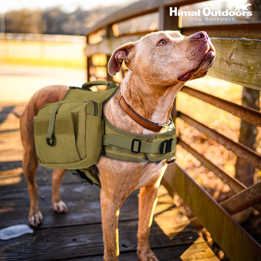 Himal Outdoors dog backpack fits neck and chest ranges for large dogs.