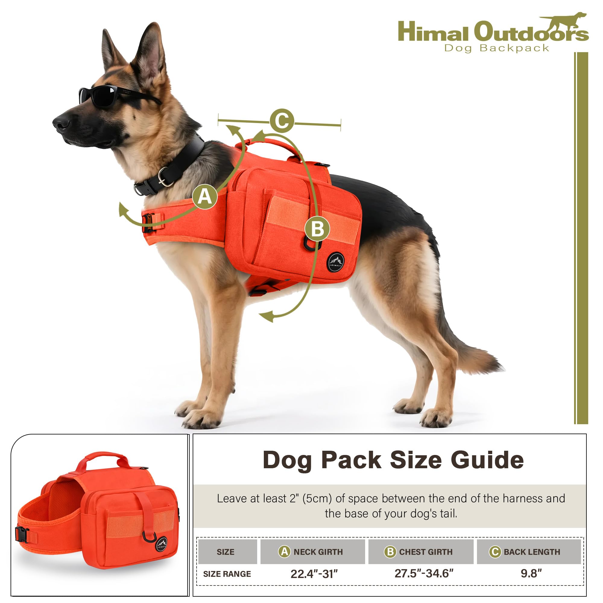 Himal Outdoors reinforced top-handle view ready to assist your dog over obstacles.