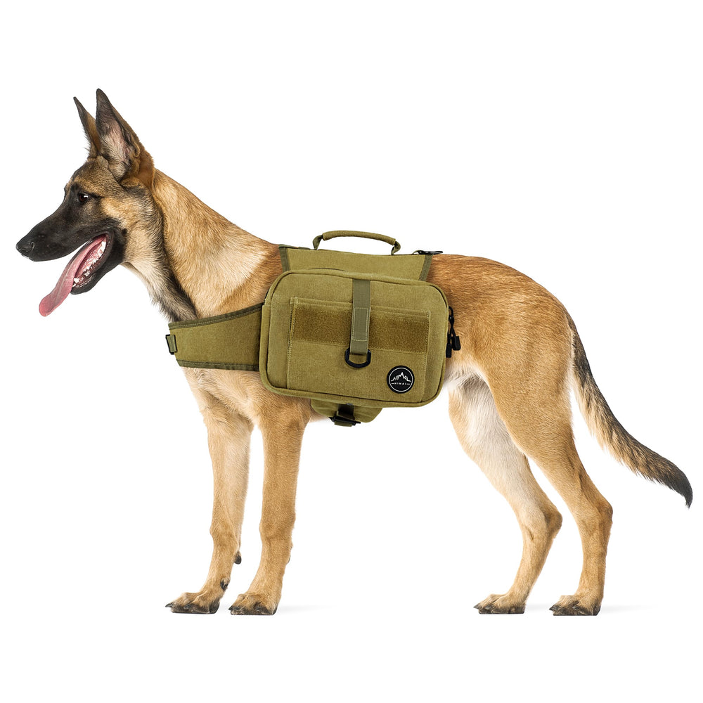 Himal Outdoors dog backpack side pockets provide easy-access water and treats on hikes.