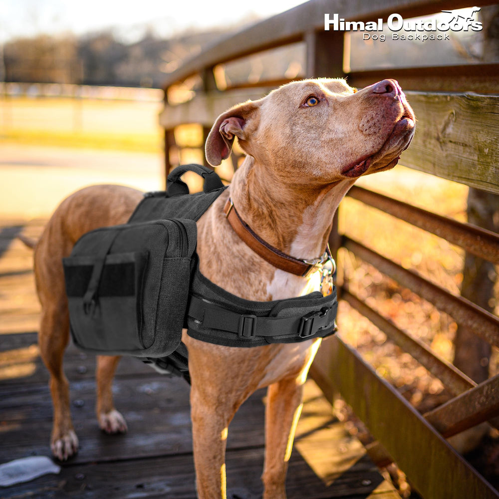 Himal Outdoors rear D-ring leash attachment adds secure control during hikes.