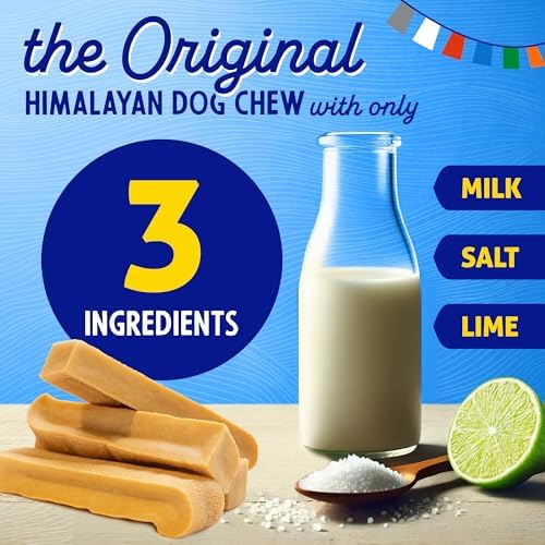 Himalayan Dog Chew big-dog chew puff shows a cheesy result after cooling.