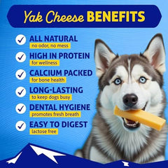 Himalayan Dog Chew XXLarge in-hand demonstrates a durable, long-lasting chew for large breeds.