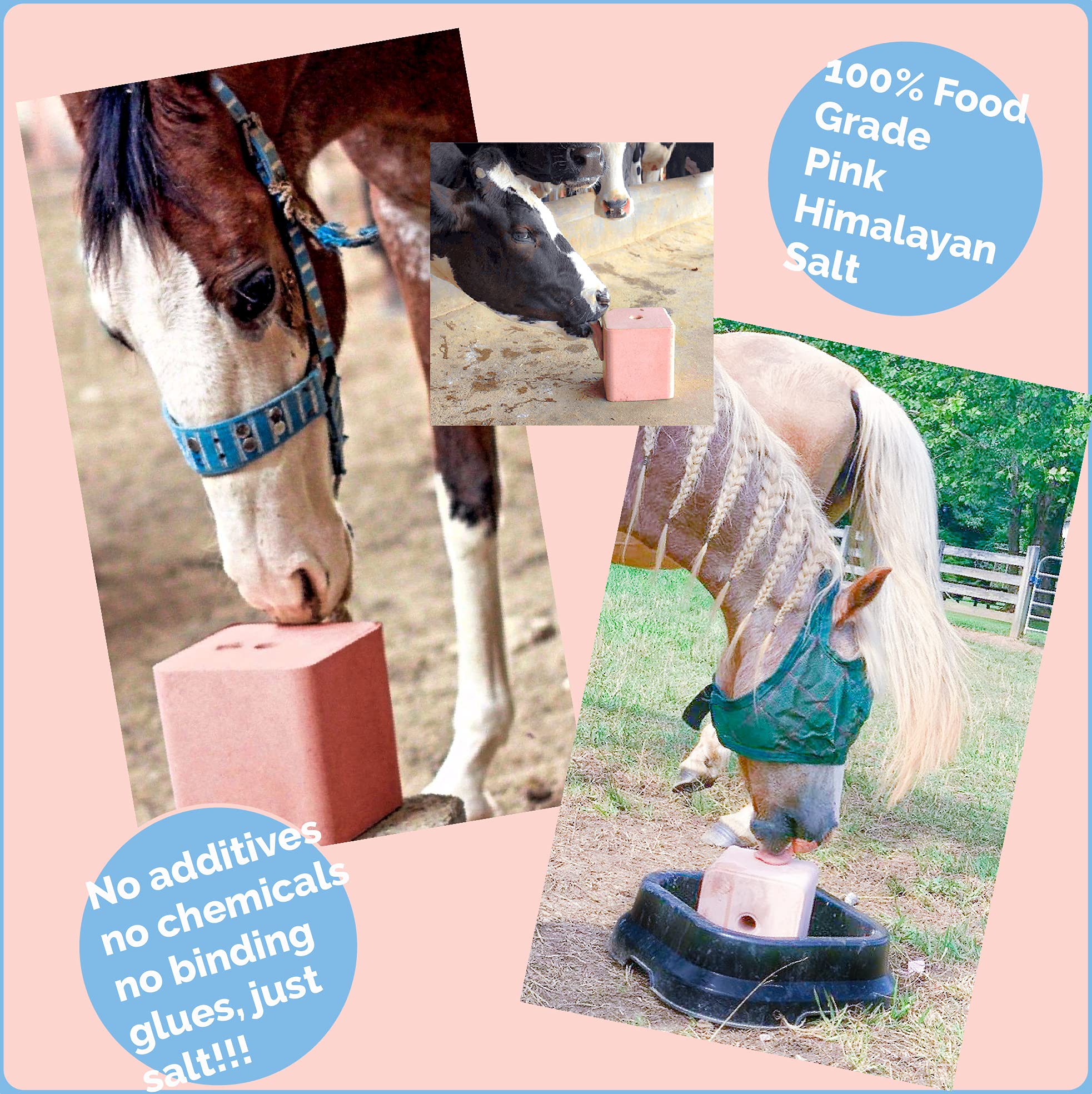 Himalayan Secrets packaging-ready salt brick for farm storage and rotation