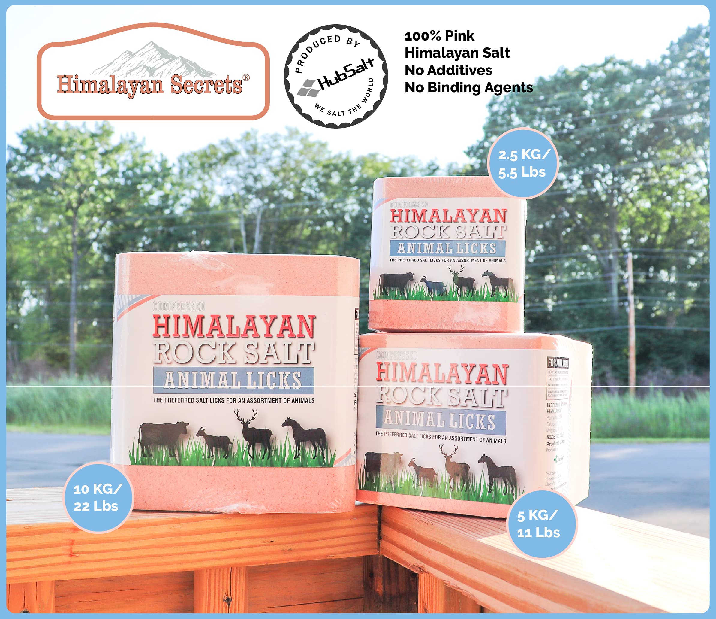 Himalayan Secrets pink salt lick closeup showcases natural minerals for hydration and bone support.