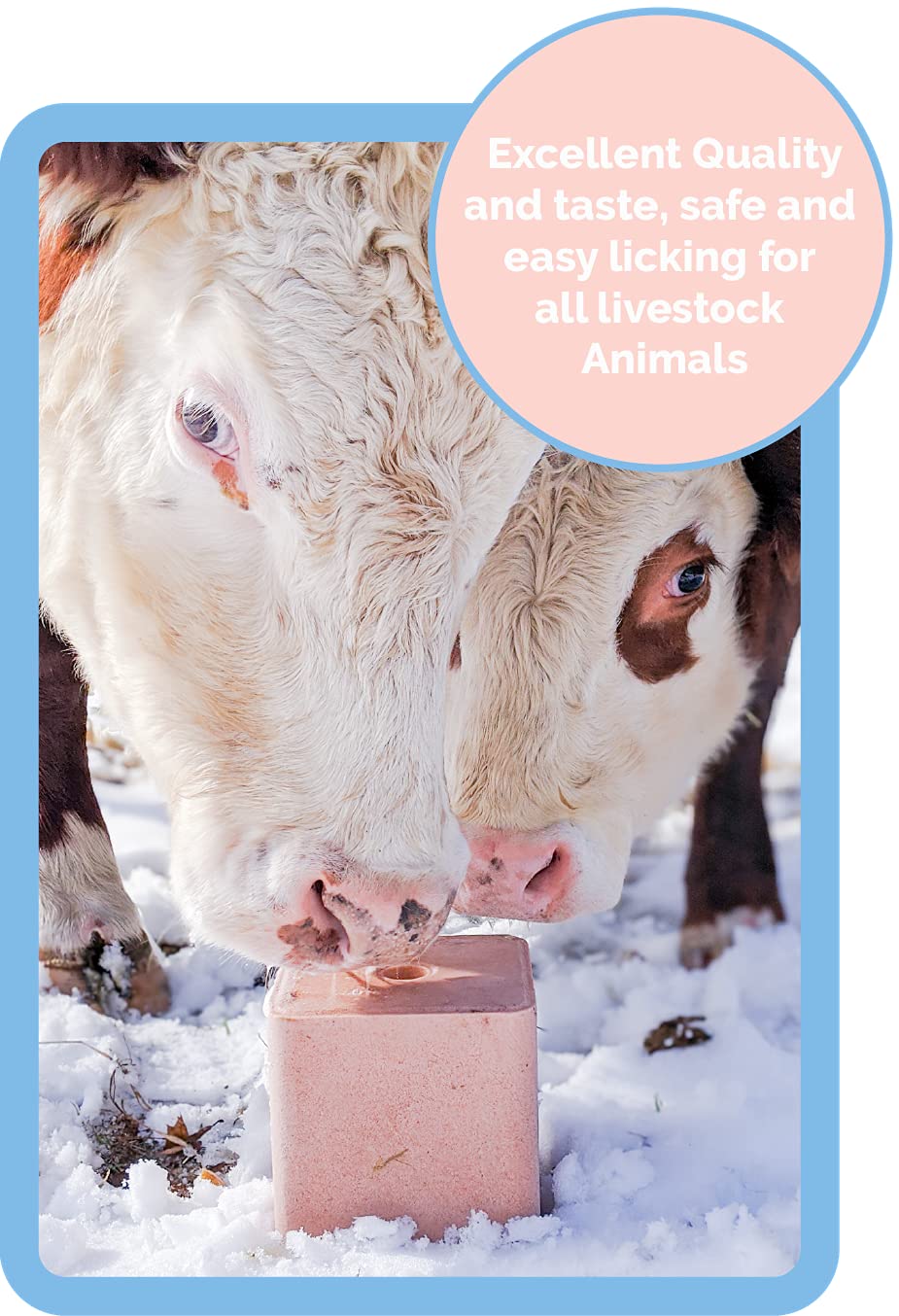 Himalayan Secrets pink salt lick compressed design resists crumbling outdoors.