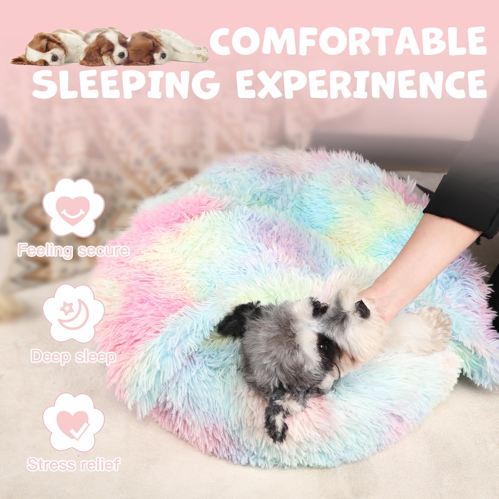 Himax dog bed raised edge supports neck and helps relax muscles.