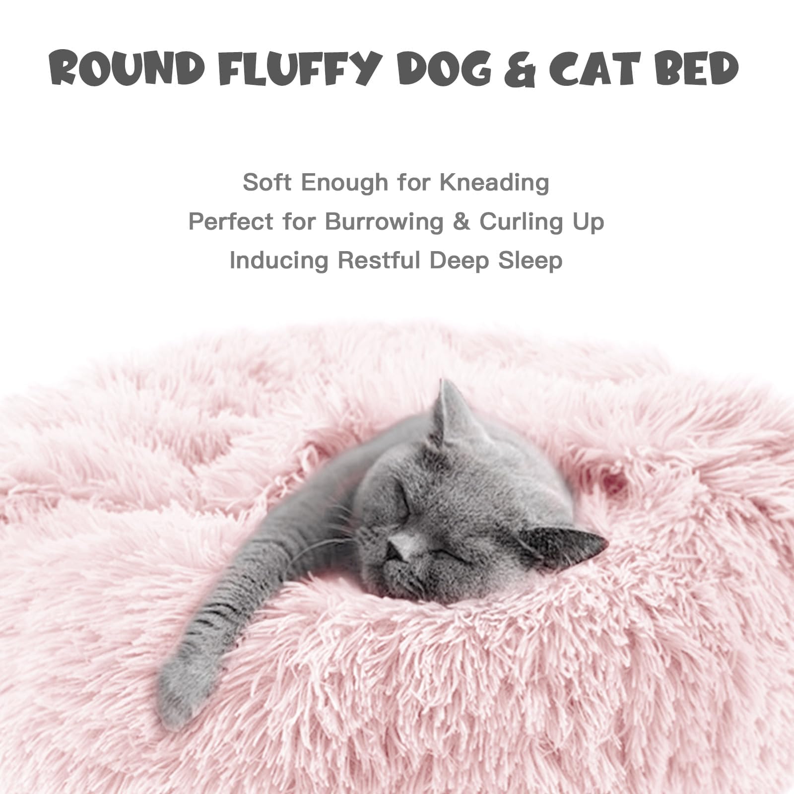 Himax small-size bed perfect for pets up to 10 pounds.