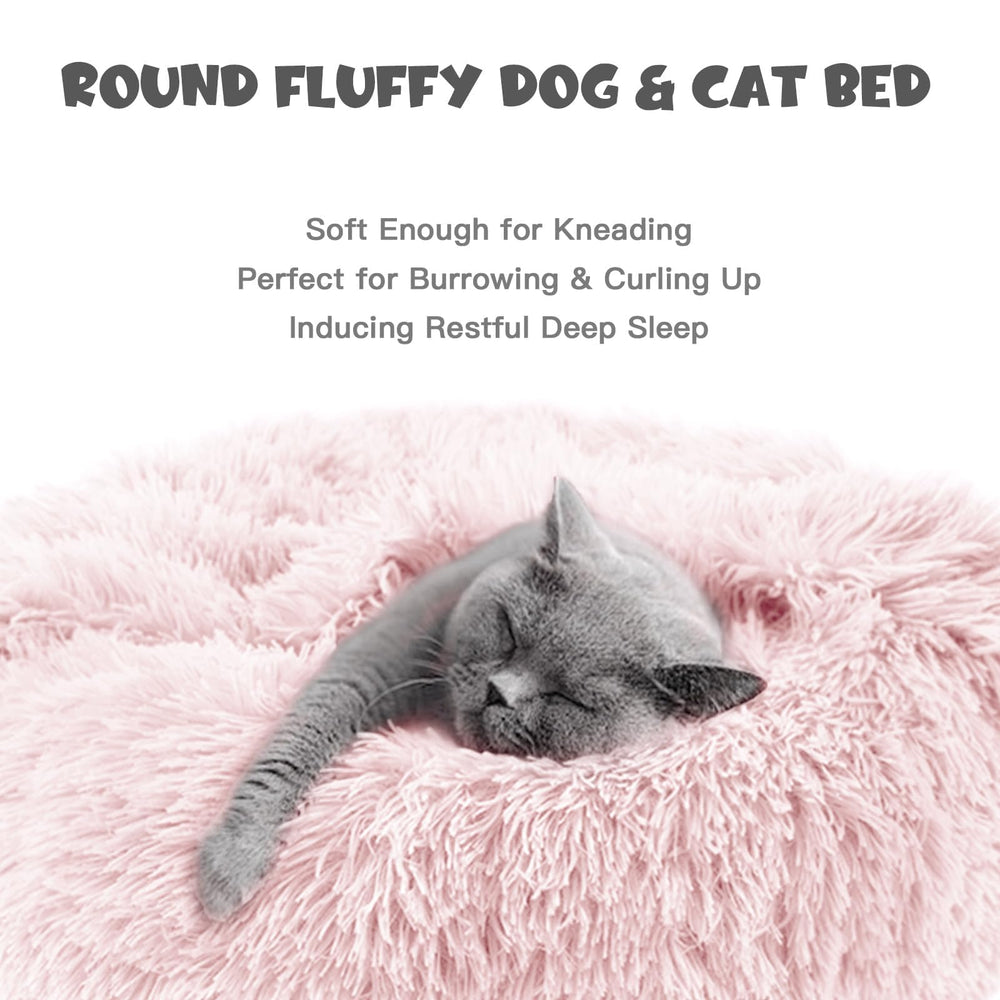 Himax small-size bed perfect for pets up to 10 pounds.