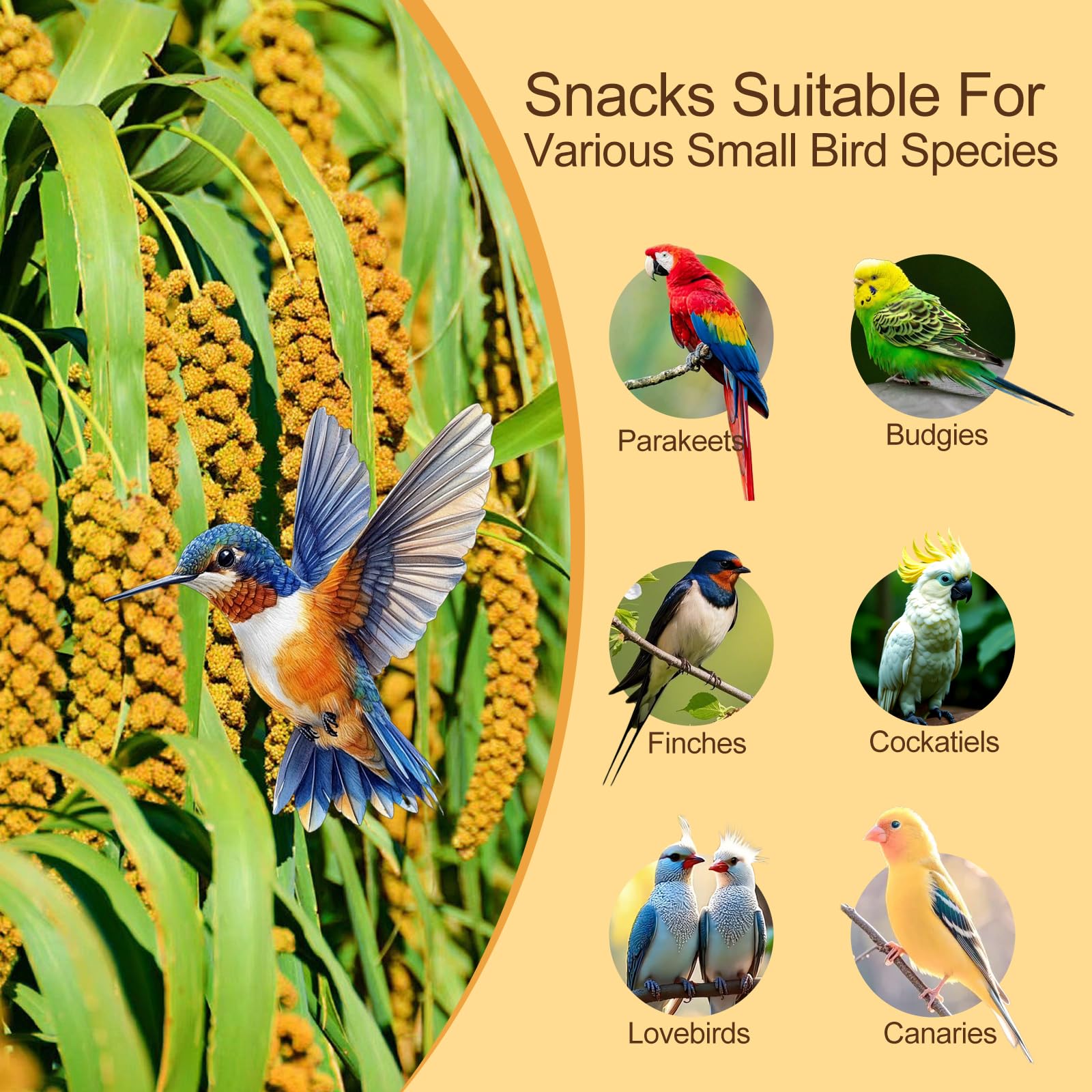 Himscev spray millet seeds close-up highlights texture and fiber-rich nutrition.