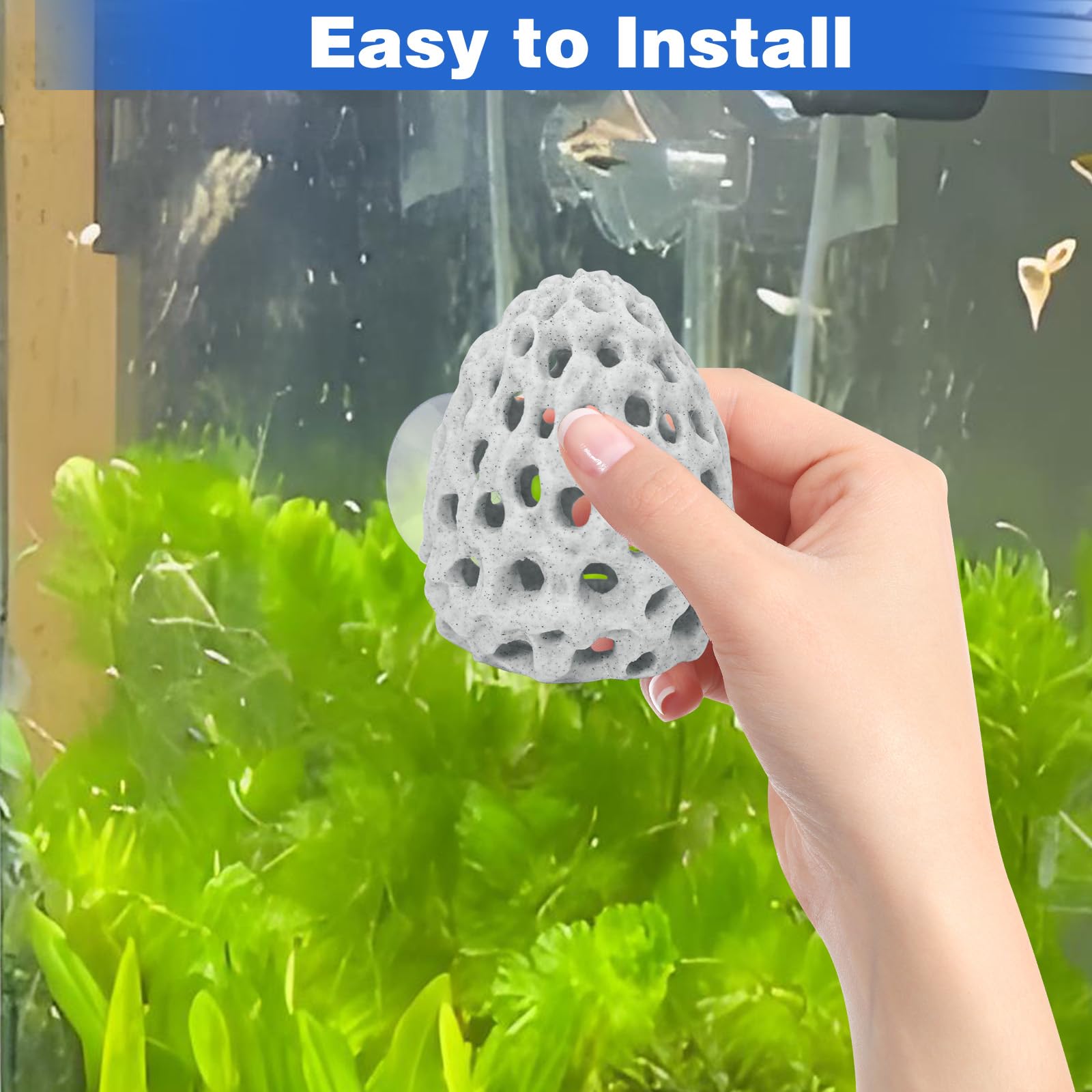 HINGTAI guppy-shelter-nest creates a safe refuge during active swimming.