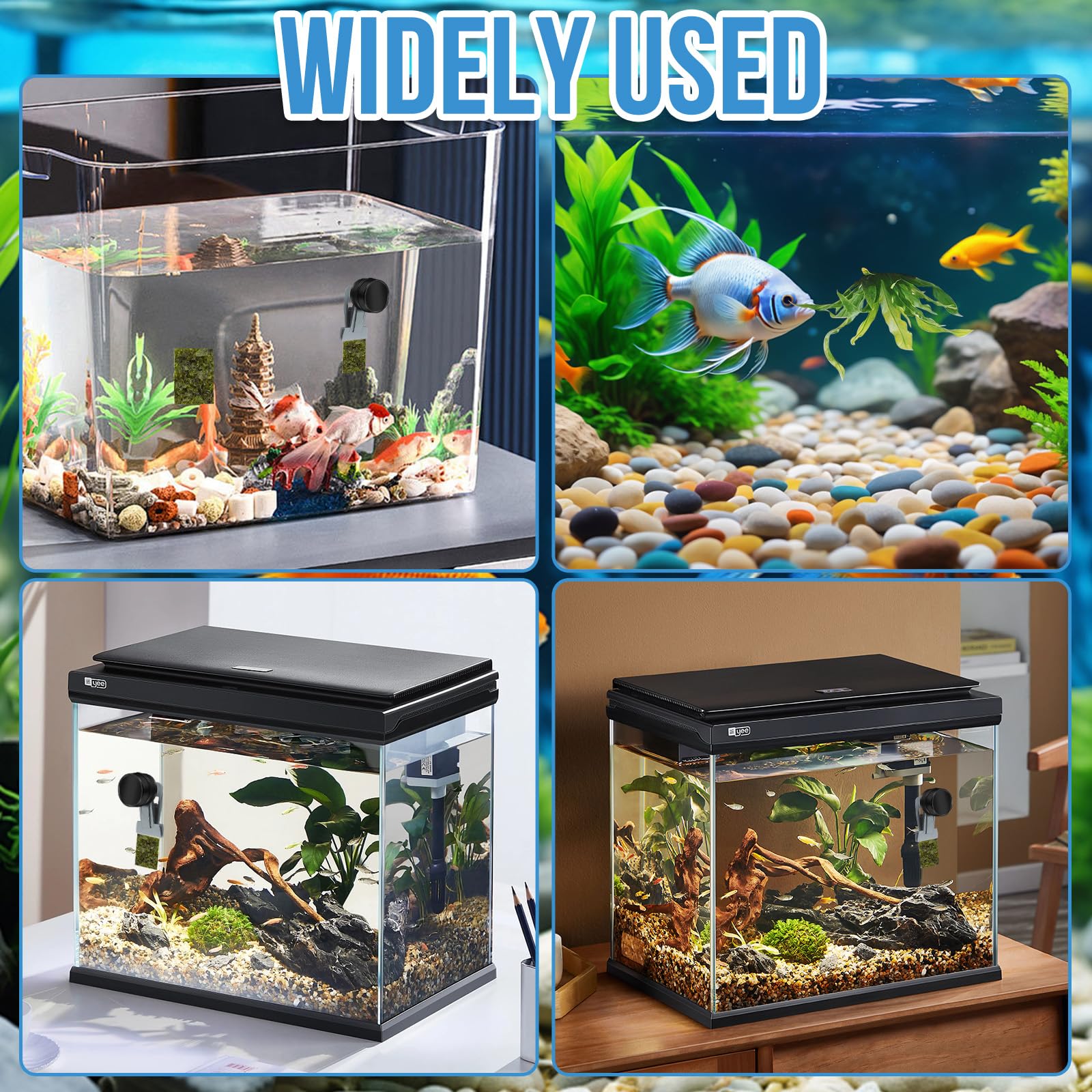 HINGTAI Magnetic Seaweed Feeder Clip packaging box shows gifting potential.