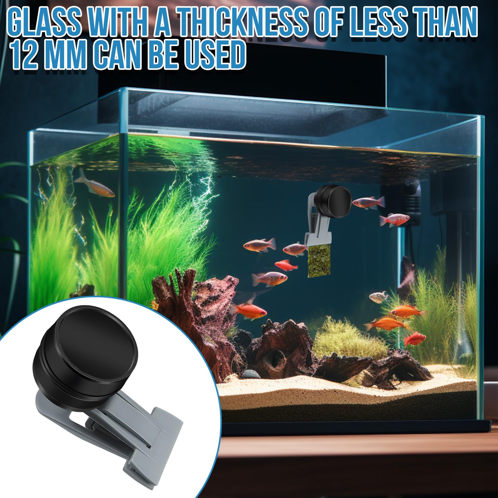 HINGTAI Magnetic Seaweed Feeder Clip ring attachment demonstrates adjustable placement along glass.