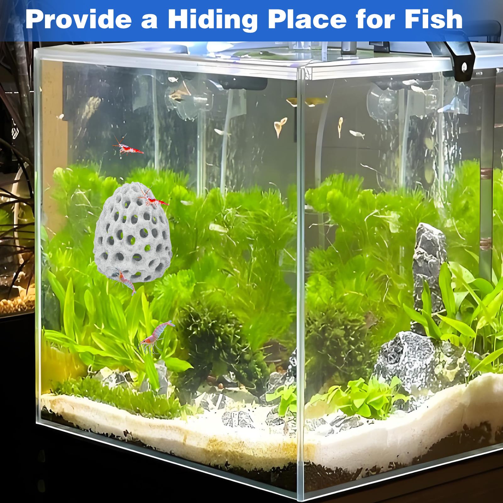 HINGTAI white-betta-nest provides a calm hiding spot for bettas.