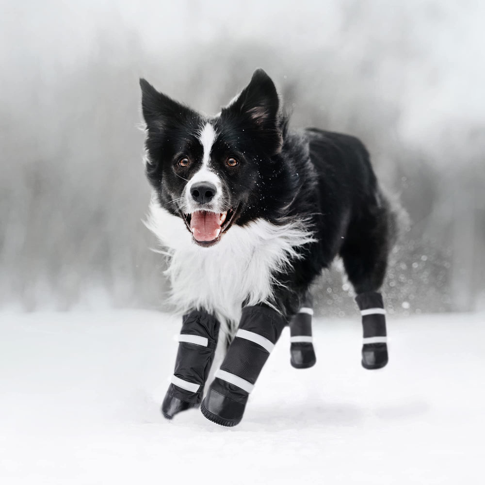 Hipaw protection for medium to large dogs on icy trails and muddy paths