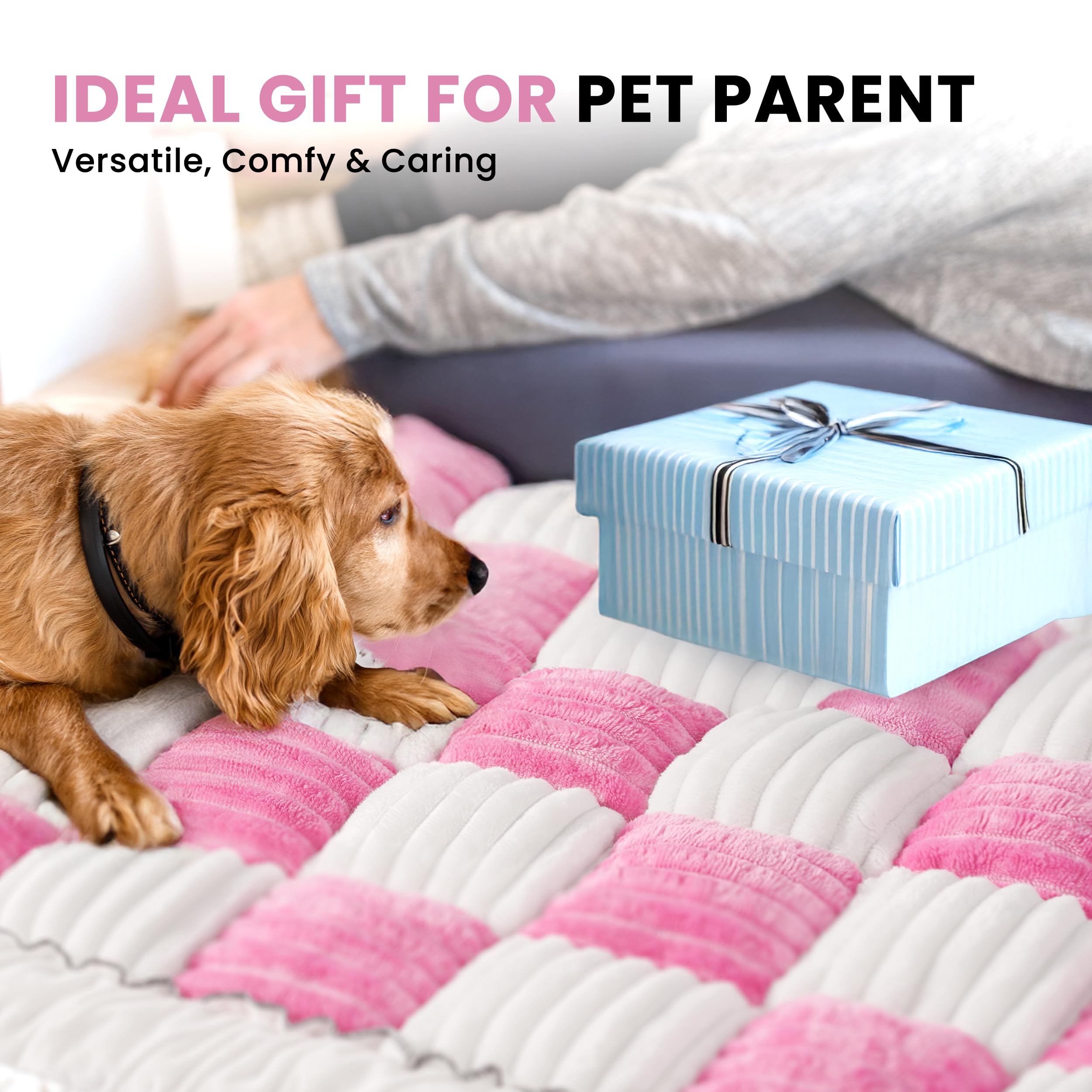 HiPetpy Backseat Dog Bed Mat doubles as seat protector and blanket.