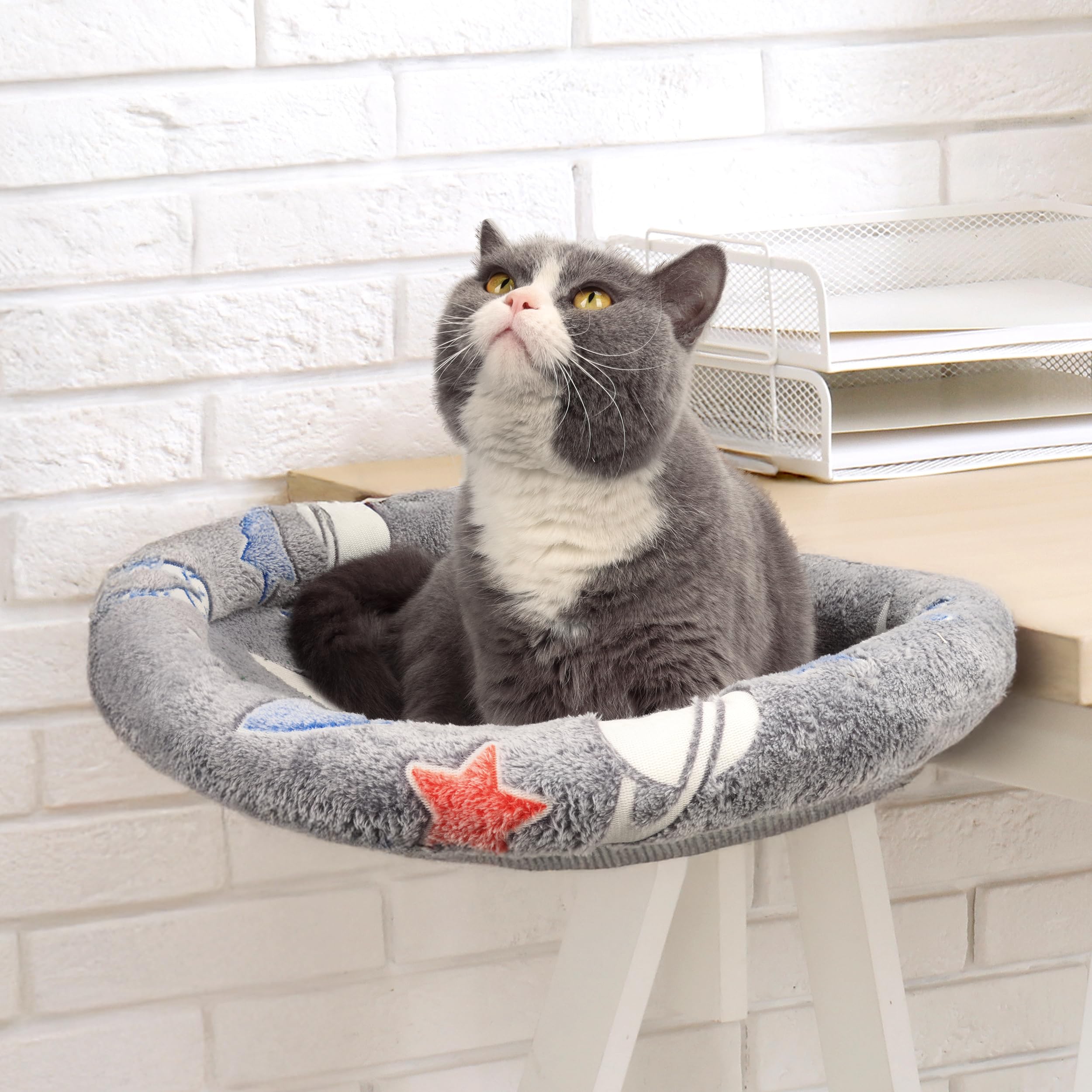 HiPetpy cat desk bed glow-astronaut-pattern offers magical glow for nighttime naps