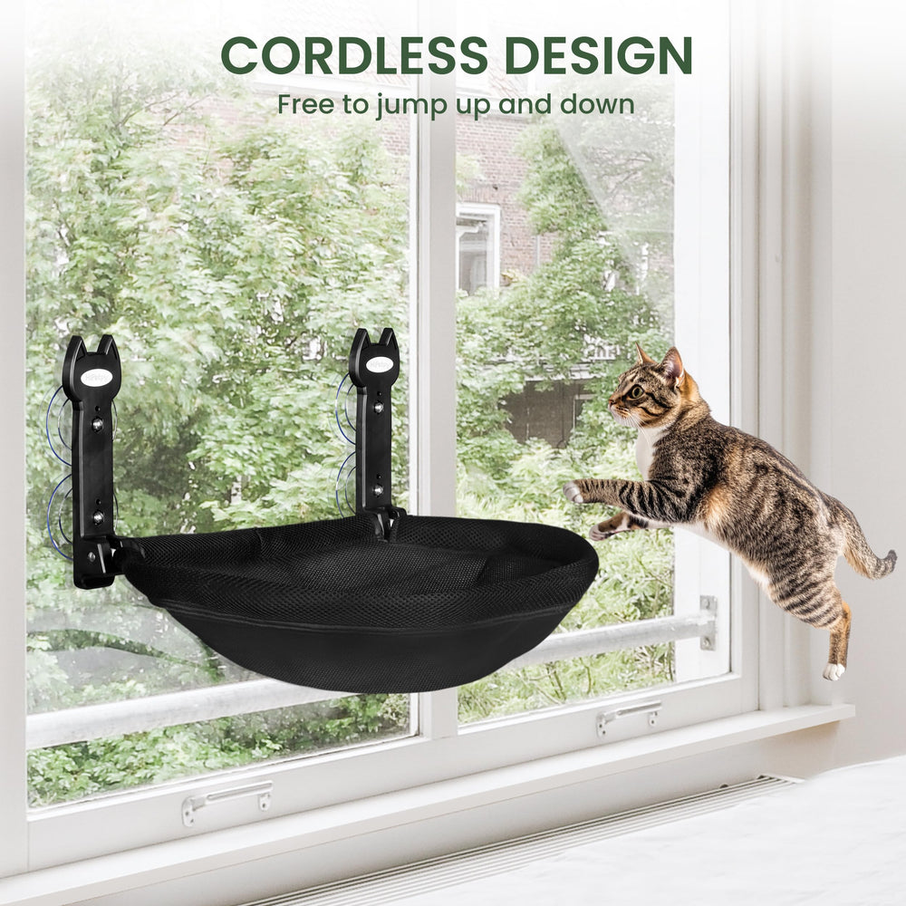 HiPetpy window perch supporting cats up to 40 lbs with sturdy metal frame