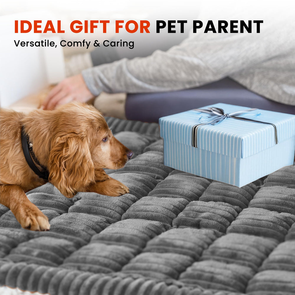 HiPetpy is washable for easy cleaning after muddy paws and rainy journeys.