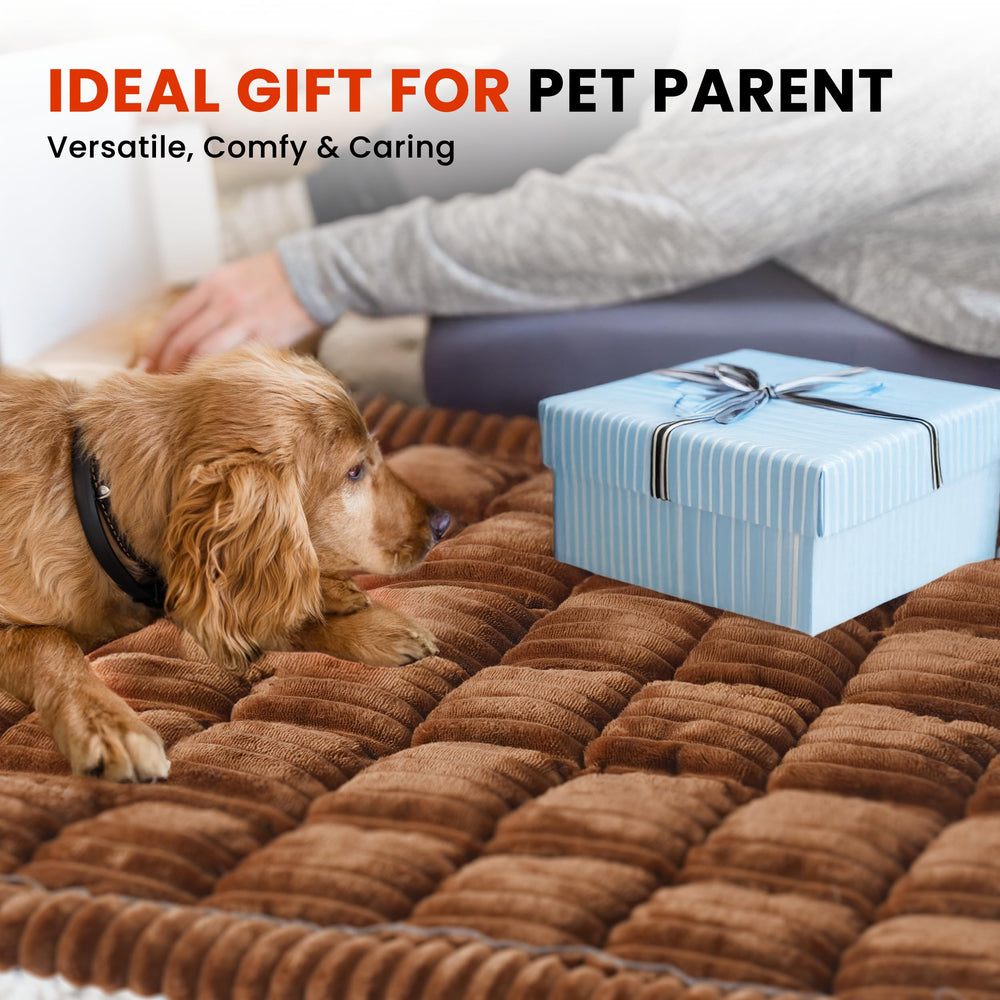 HiPetpy uses as sofa cover or indoor pet bed for versatile use.