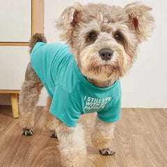 HipGirl cute dog shirt on a small dog for everyday wear and comfort.