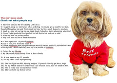 HipGirl easy-on, easy-off dog shirt demonstrated during dressing.