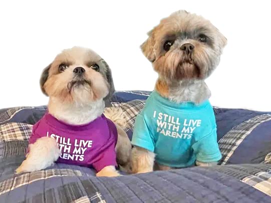 HipGirl dog shirt styled for parties and everyday wear.