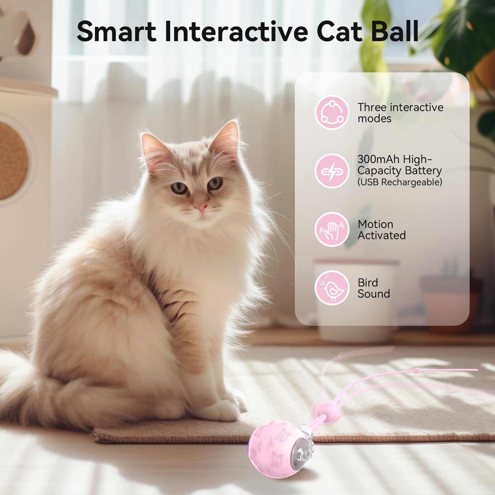 Hipibbo cat ball with mode lights for kittens to active cats