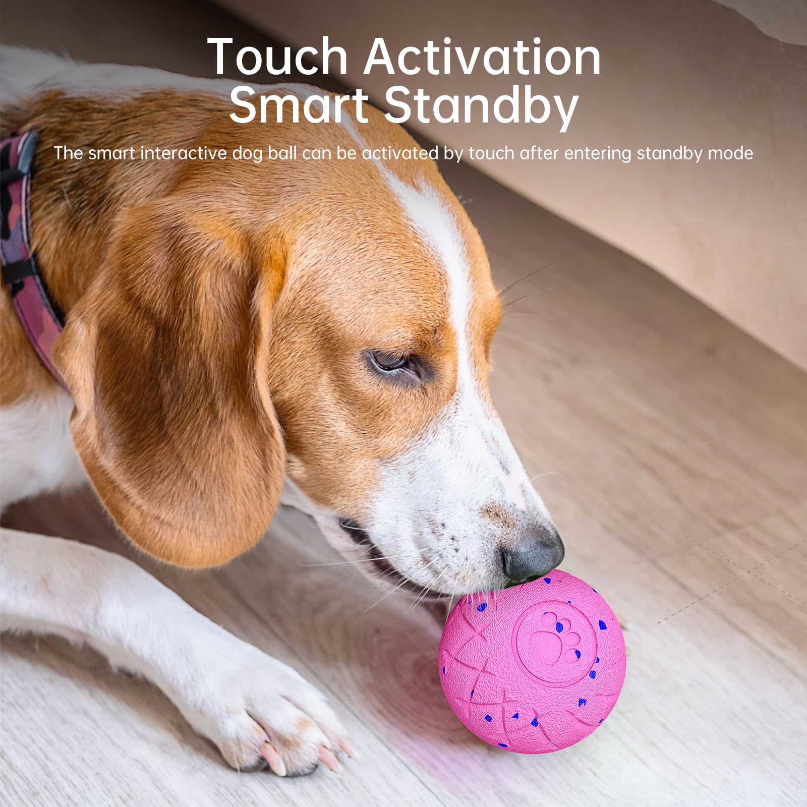 Hipibbo dog ball 3.15-inch diameter fits medium to large dogs for interactive sessions.