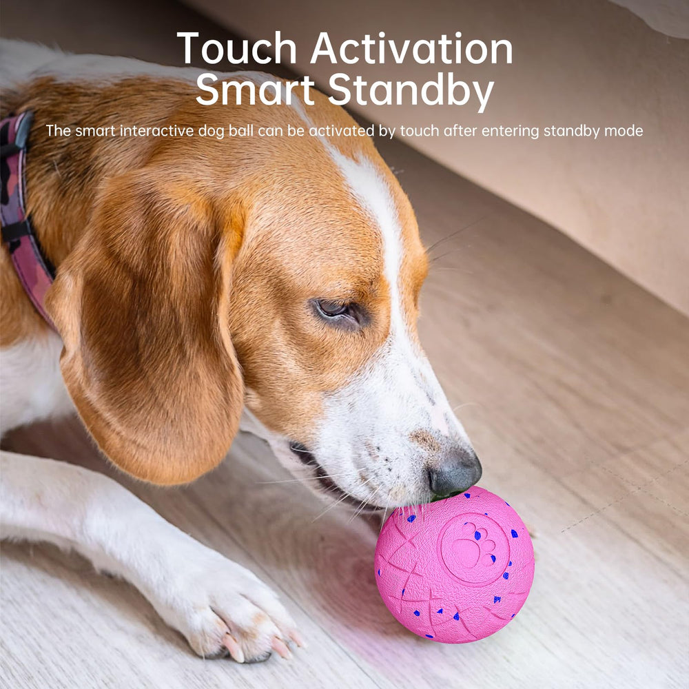 Hipibbo dog ball 3.15-inch diameter fits medium to large dogs for interactive sessions.