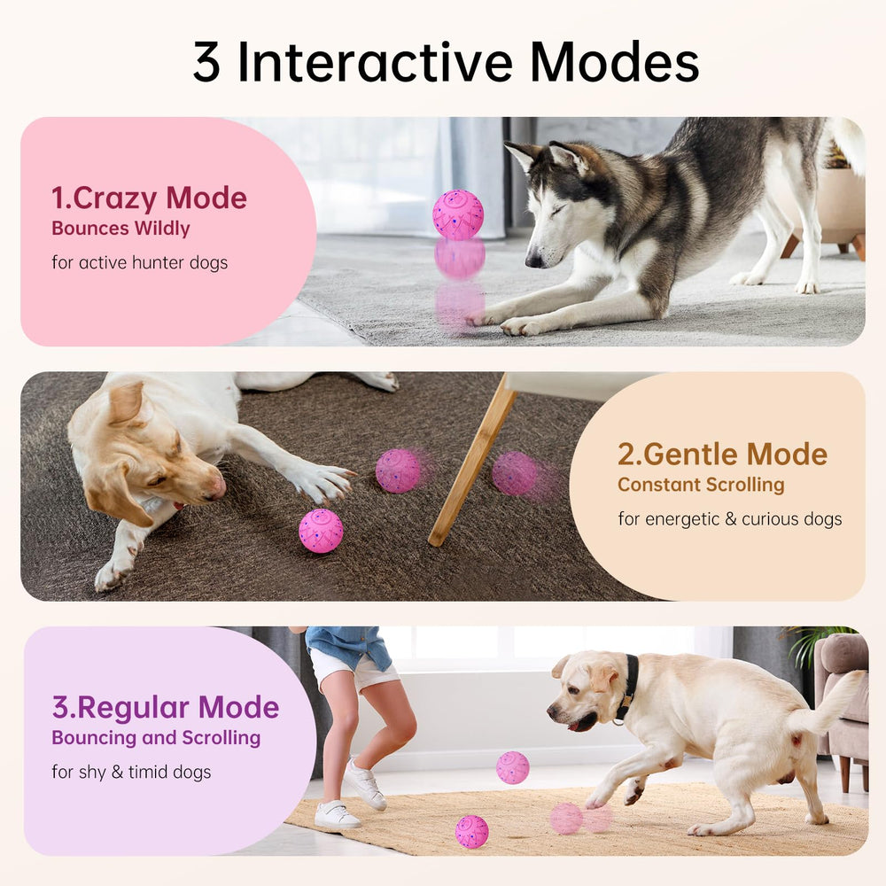 Hipibbo dog ball floats on water for poolside or beach play.
