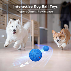 Hipibbo Interactive Dog Ball blue bouncing-rotating—keeps dogs entertained indoors with unpredictable motions.