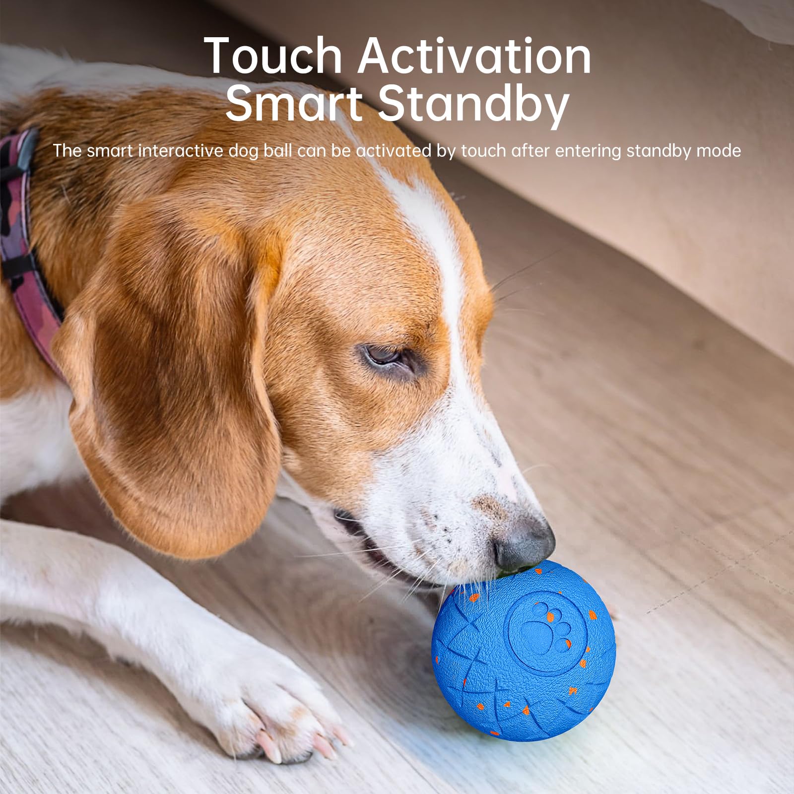 Hipibbo Interactive Dog Ball blue-diameter-315-in—sized for medium and large dogs.